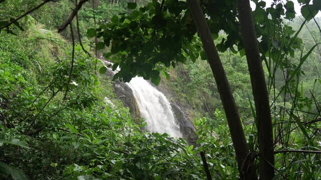Waterfall surrounded by lush tropical jungle nature in Colombia Salto de las Monjas