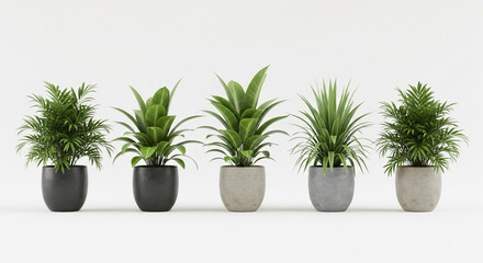 Obraz premium Green Serenity: A harmonious row of potted plants, each showcasing lush, vibrant foliage, adds a touch of freshness and natural beauty to the indoor setting.
