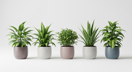 Obraz premium Green Harmony: A captivating array of potted plants, each showcasing a unique botanical design, poised in a harmonious display.
