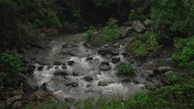 River creek stream in tropical forest trail Salto de las Monjas jungle Colombia