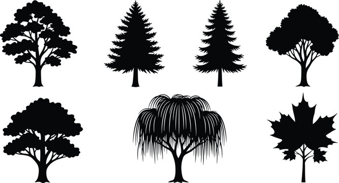 Tree silhouettes, broadleaf trees, coniferous trees, willow tree, maple shape, foliage patterns, black vector, nature icons, landscape design, botanical clipart