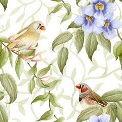Garden songbirds on hedge watercolor seamless pattern on white with pastel purple flowers and green branches. Realistic finch birds and blooming Thunbergia repeat background. Spring climbing plants