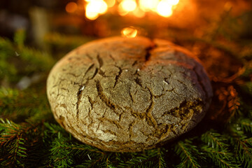 Homemade round bread against the backdrop of a bonfire