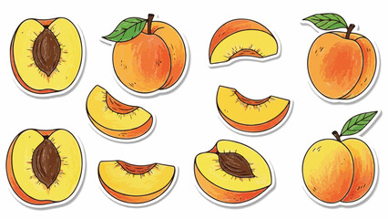 Illustration of whole and sliced peaches with leaves on a clean white background in a flat lay composition with warm colors.