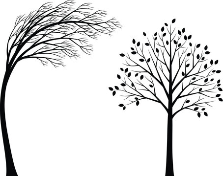 Silhouette illustration of two trees, one bending in strong wind and one standing still, symbolizing nature, seasons, resilience, weather, and environmental themes in vector style