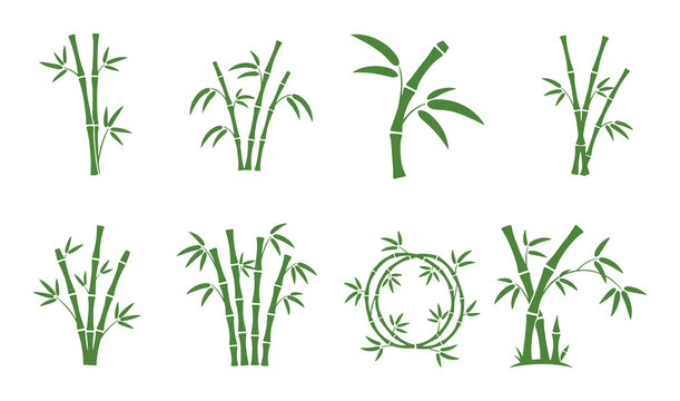 Green bamboo icons, different arrangements of bamboo stalks and leaves for asian nature.
