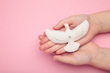 Child hands with dove on pink background. International Day of Peace. Ukraine