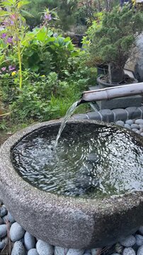 Traditional Korean bamboo water fountain flowing into a stone basin with green garden plants &ndash; calming natural ambiance
