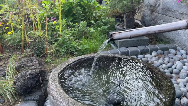 Traditional Korean bamboo water fountain flowing into a stone basin with green garden plants &ndash; calming natural ambiance
