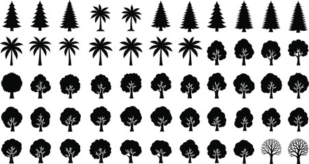 Tree silhouette vector set, coniferous, deciduous, palm shapes, black icons, foliage comparison, botanical chart, nature design, forest elements © Munni