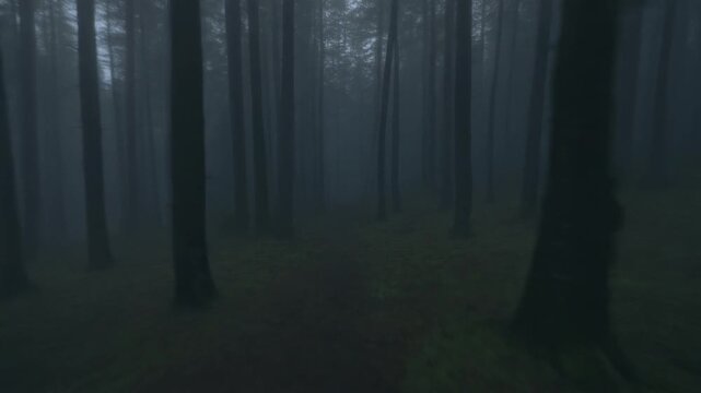 霧の森の中を逃げる人の視点