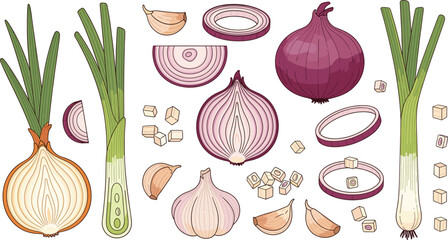 Onion vegetable vector collection featuring whole onions, sliced rings, diced pieces, garlic cloves and fresh green onion illustrations