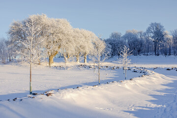Obraz premium Beautiful sunny winter day with snow and frost in the country