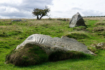 The Polisher, a sarsen field stone on Fyfield Down, Avebury. Artificial grooves thought to be used for sharpening of prehistoric stone or antler tools