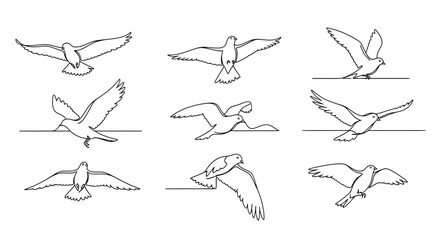 Graceful doves take flight in a minimalist, elegant collection of single-line drawings, embodying freedom and peace for commercial projects.
