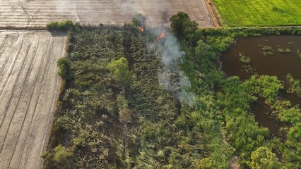 Climate change, Agriculture burning release carbon