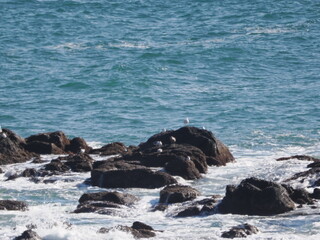 襟裳岬から見える風景