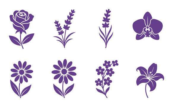 Purple floral icons, elegant flower designs, botanical illustrations, natural beauty elements.