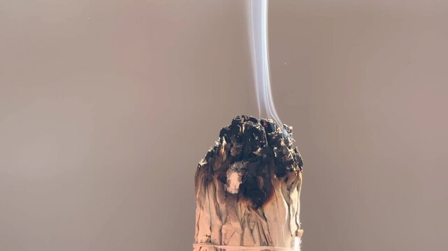 White sage burning close up. Incense and aromatherapy, Shaman, spiritual and alternative medicine concept