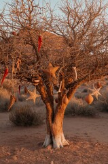 Decorated Tree with Star Pepper Ornament