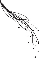 Abstract black ink splash and brush stroke design on white background