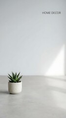 Minimalist Home Decor Featuring a Small Succulent Plant in a Clean Neutral Setting Promoting Tranquility and Simplicity in Design