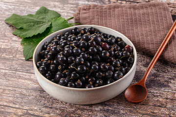 Sweet juicy Black currants berries