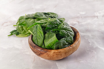 Raw green baby spinach plant