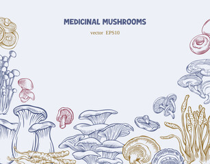 Functional and medicinal mushrooms in engraving style. Vector illustration