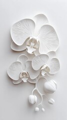 Elegant White Orchid Arrangement