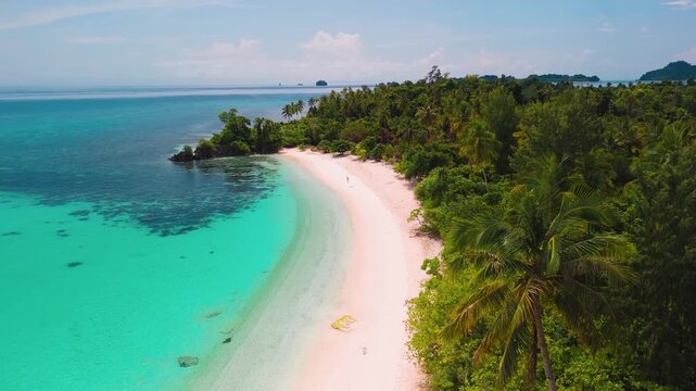 palm trees on a white sand beach in Banggai Islands, Sulawesi
