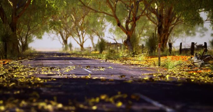 A tranquil dirt road stretches through a lush landscape, bordered by vibrant trees and soft grass. The sunlight filters through the leaves, creating a peaceful atmosphere.