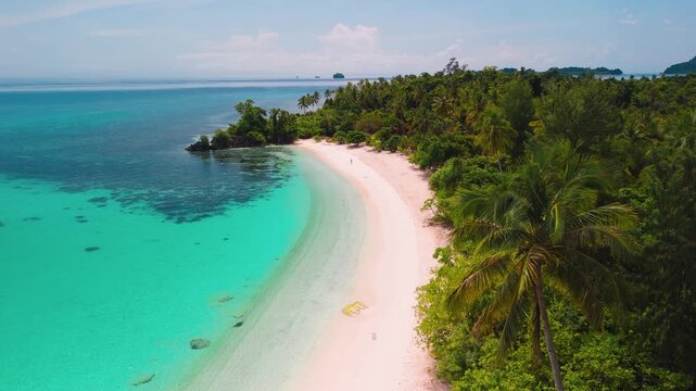 palm trees on a white sand beach in Banggai Islands, Sulawesi