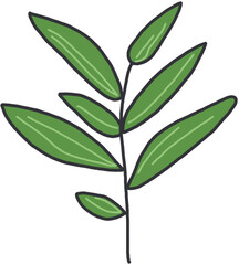Fototapeta premium Light green leaves isolated on white