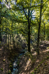 Fototapeta premium Beautiful landscape view from Ain Drahem forest, Tunisia