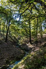 Obraz premium Beautiful landscape view from Ain Drahem forest, Tunisia