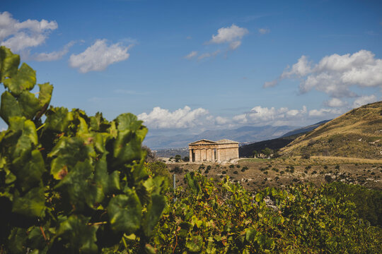 Doric Temple of Segesta and Vineyards, Sicily
