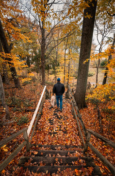 Man and dog walking down leaf covered wooden stairs on autumn day.