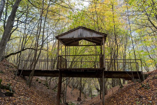A Picturesque Autumn Forest with a Rusty Metal Bridge and a Dilapidated Cabin - Powered by Adobe