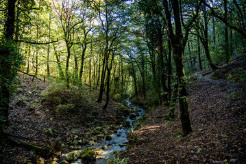 Obraz premium Beautiful landscape view from Ain Drahem forest, Tunisia
