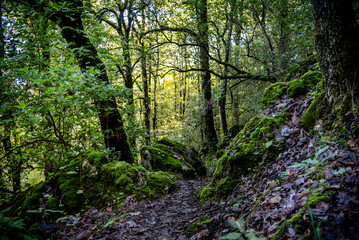 Obraz premium Beautiful landscape view from Ain Drahem forest, Tunisia