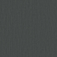 Anthracite Canvas Fabric Texture