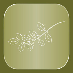 Elegant Botanical Branch Illustration with Delicate Leaves and Berry Details, Perfect for Nature Plant Designs