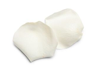 Beautiful rose petals isolated on white background, closeup