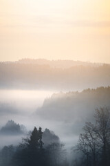 Morning mist rises from a valley, a mystical landscape in autumn