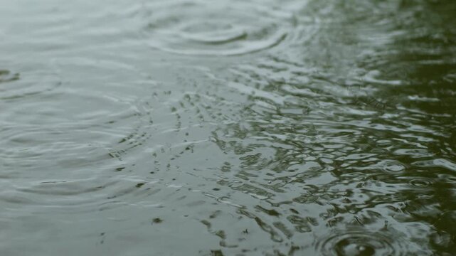 Raindrops and Ripples on Water During Heavy Rain Storm