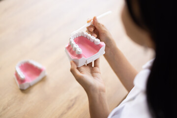 Close-up of dental model brushing demonstration by woman in white uniform