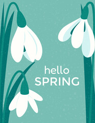 Snowdrops Spring poster with space for text. Delicate first spring flowers with trendy texture. Perfect for cards, greetings, invitations, and advertising.