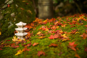 上高野の紅葉寺