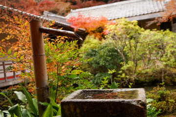 岩倉の実相院の紅葉